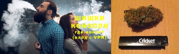 шишки Переславль-Залесский