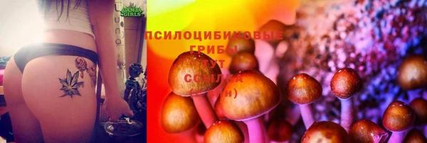 МДПВ Остров