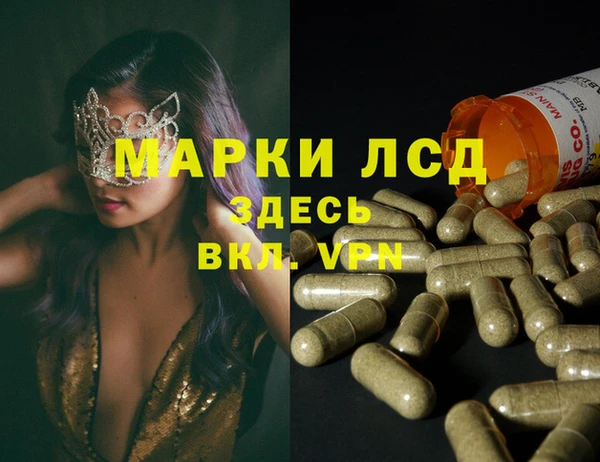 шишки Переславль-Залесский
