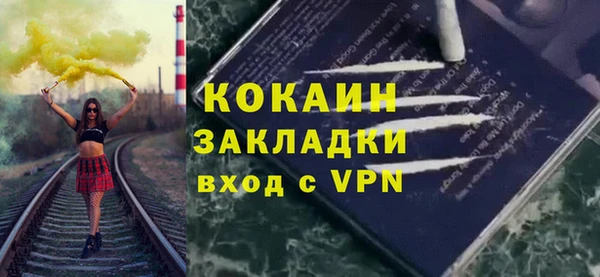 шишки Переславль-Залесский
