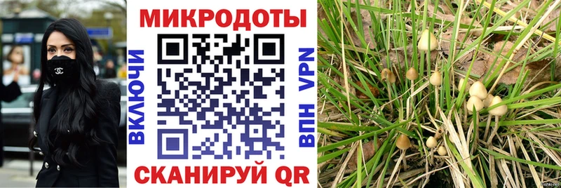 хочу   Уяр  Галлюциногенные грибы Psilocybine cubensis 