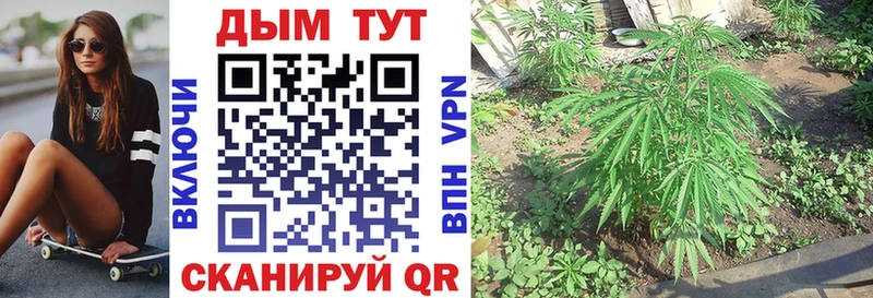 Конопля White Widow  Уяр 
